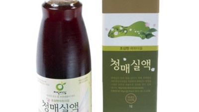 놓치면 후회! 부산매실청 특가 & 리얼 후기 🍯