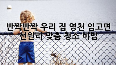 ✨반짝반짝 우리 집✨ 영천 임고면 선원리 맞춤 청소 비법 🏡